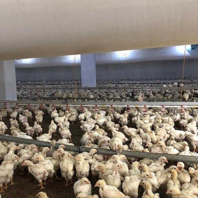 TELEF OLMAYA TERKEDİLEN CİVCİVLER İÇİN TARSUS KAYMAKAMI ÜNAL'A VE TARSUS BELEDİYE BAŞKANI SN ŞEVKET CAN'A TEŞEKKÜR ETTİLER..